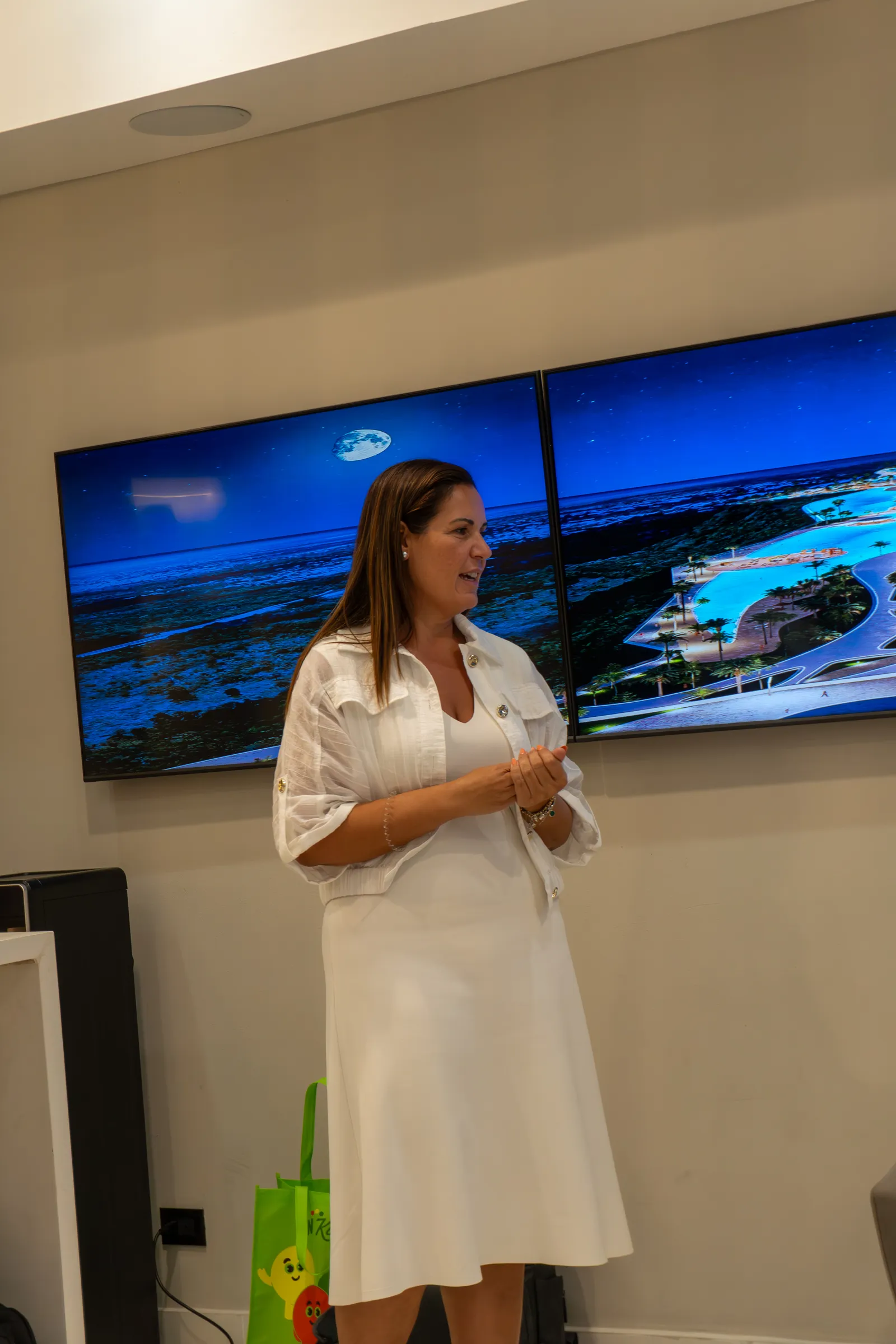 Ángela Moyano presents the Larimar City project to the delegation