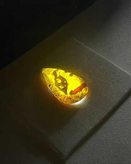 Piece of Dominican amber lit from behind, with inclusions visible inside