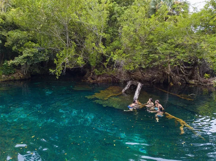 Laguna de agua dulce entre bosque tropical en la Reserva Ecológica Ojos Indígenas, Punta Cana