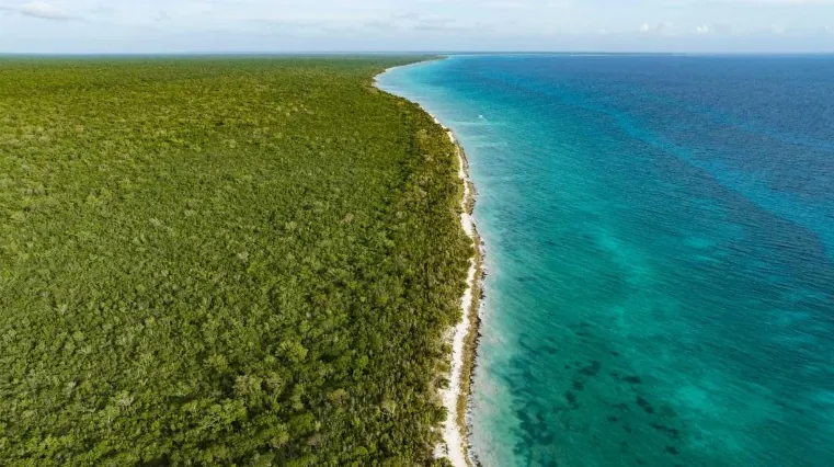 Costa y bosque del Parque Nacional Cotubanamá en el sureste de República Dominicana