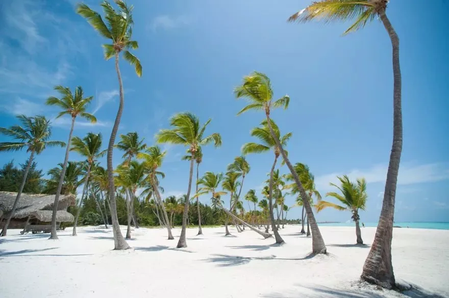Playa Juanillo en Cap Cana, con palmeras y aguas turquesas del Caribe dominicano