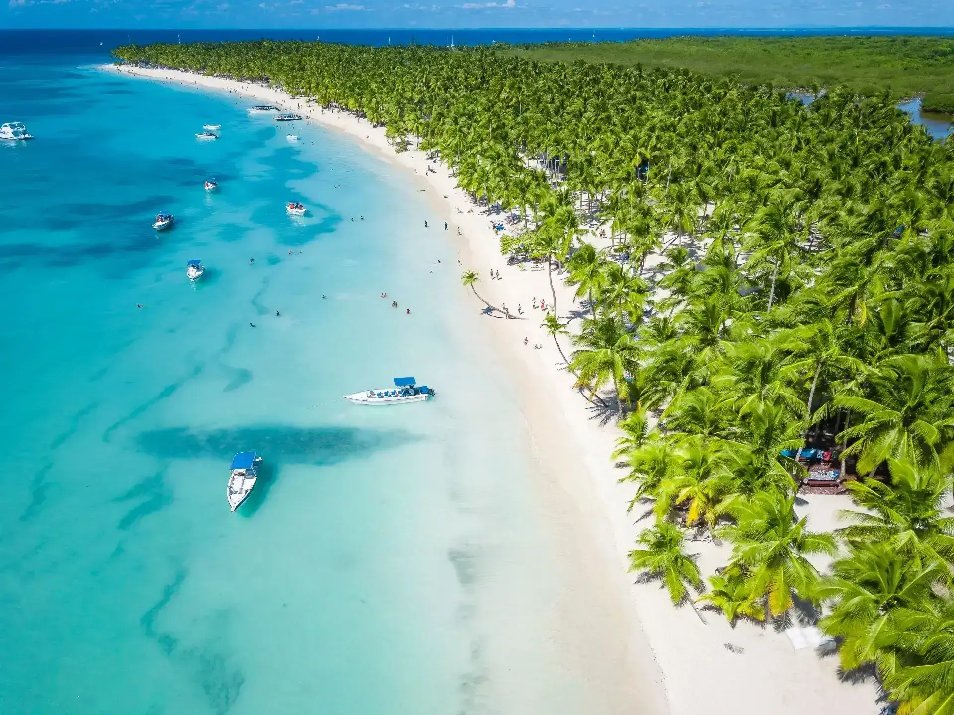 Diving in the Dominican Republic: The Complete Guide